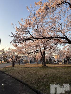 ��Į���ʥå��������륺�С�L'asile(�饸����) ���(24)��4��14���̥�֥����֤����顪��