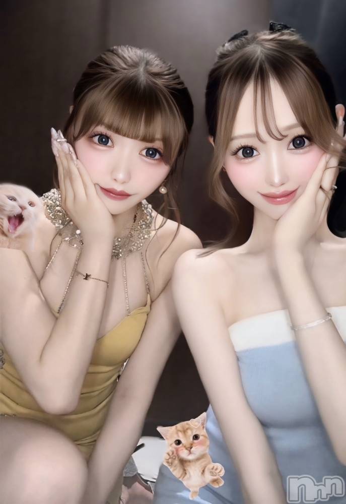 ܱХ顦CLUB FOUR LEAF(ե꡼) ꤪʤ719̥֥🧸
