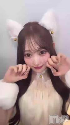 ͧãȥץ줷🐈♡