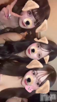 🐶🐶🐶🐾