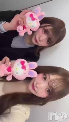 colorfulbunny