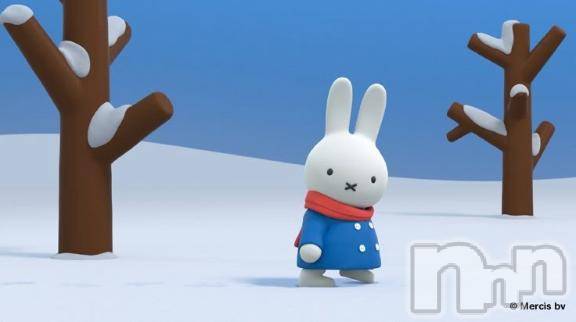 長岡デリヘルBIANCA～主人の知らない私～長岡店(ビアンカナガオカテン) 青柳　れい(36)の12月5日写メブログ「しんしんと､､､」