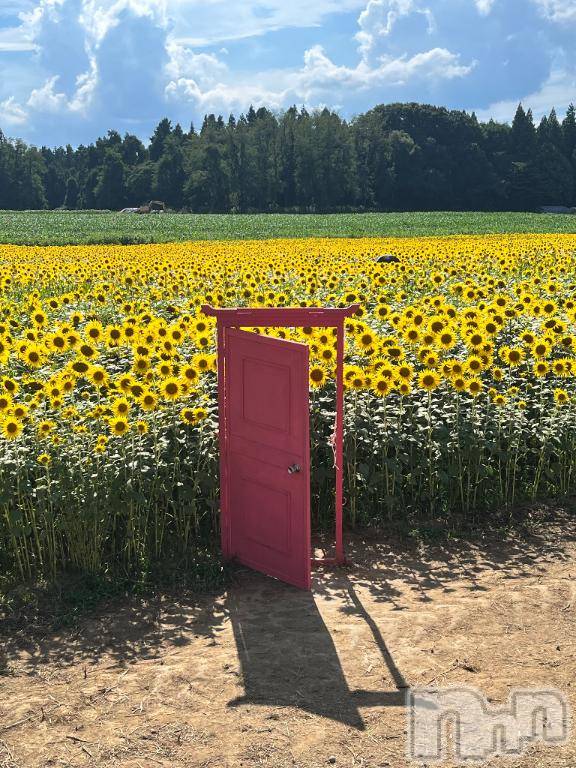 長岡デリヘルBIANCA～主人の知らない私～長岡店(ビアンカナガオカテン)青柳　れい(36)の2025年8月19日写メブログ「どこでもドア～」