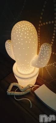 長岡デリヘル BIANCA～主人の知らない私～長岡店(ビアンカナガオカテン) 青柳　れい(36)の3月12日写メブログ「お久しぶりでした🌟」