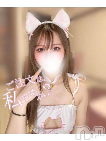 長岡デリヘル純・無垢(ジュンムク) なつな☆プラチナ(24)の8月8日写メブログ「世界猫の日🌏😺」