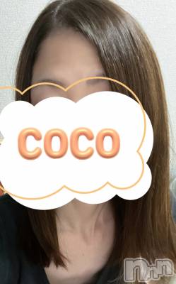 ȯˤ륳ѥ˥󥯥֡Companion Club COCO(ѥ˥󥯥֥)פΥ㥹ȡ֤פξҲ