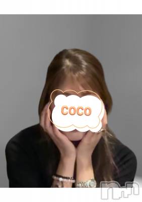 ԡ(ҥߥ) Ĺ160cmȯѥ˥󥯥 Companion Club COCO(ѥ˥󥯥֥)ҡ