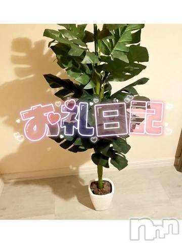 新潟人妻デリヘル新潟人妻デリバリーヘルス 下心 ～したごころ～(シタゴコロ)渚奥様(35)の2024年9月9日写メブログ「おはよう♪」