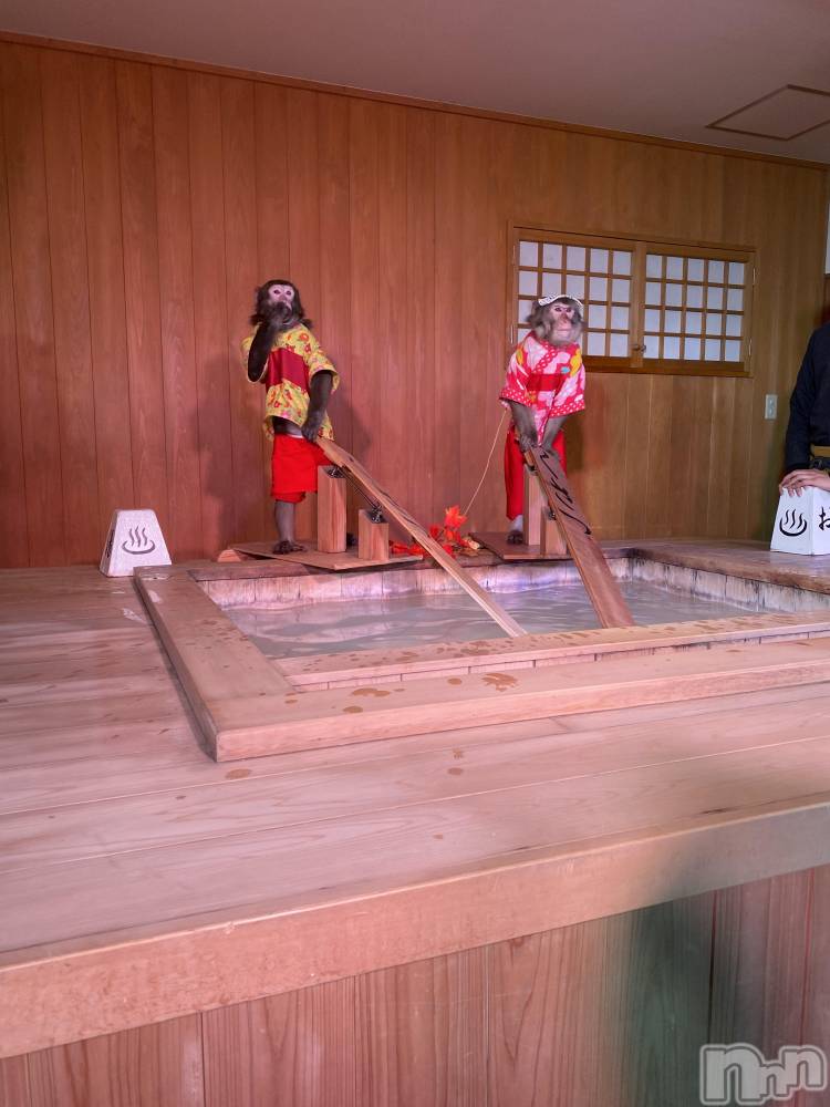 ȯѥ˥󥯥ֿ㥳ѥ˥󥯥ֲ(˥ѥ˥󥯥֥ϥʥ) ߤ1110̥֥֤ꤳ