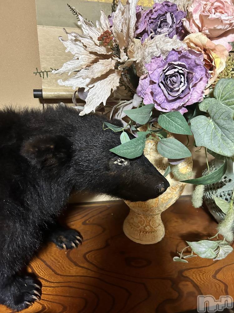 ȯѥ˥󥯥ֿ㥳ѥ˥󥯥ֲ(˥ѥ˥󥯥֥ϥʥ) ߤ1124̥֥֥ޥϤʤ