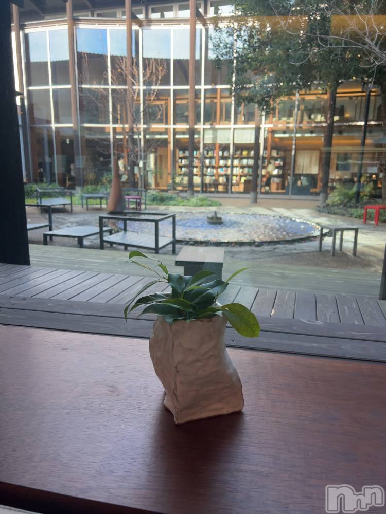 ����ȯ����ѥ˥��󥯥�ֿ��㥳��ѥ˥��󥯥�ֲ���(�˥���������ѥ˥��󥯥�֥ϥʥ�) �ʤĤ��12��23���̥�֥����֥����