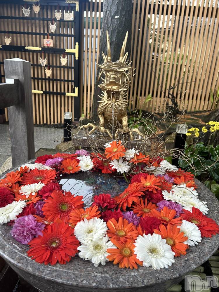 ����ȯ����ѥ˥��󥯥�ֿ��㥳��ѥ˥��󥯥�ֲ���(�˥���������ѥ˥��󥯥�֥ϥʥ�) �ߤ���1��5���̥�֥�����������