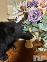 ȯѥ˥󥯥ֿ㥳ѥ˥󥯥ֲ(˥ѥ˥󥯥֥ϥʥ) ߤ1124̥֥֥ޥϤʤ