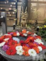 ����ȯ����ѥ˥��󥯥�ֿ��㥳��ѥ˥��󥯥�ֲ���(�˥���������ѥ˥��󥯥�֥ϥʥ�) �ߤ���1��5���̥�֥�����������