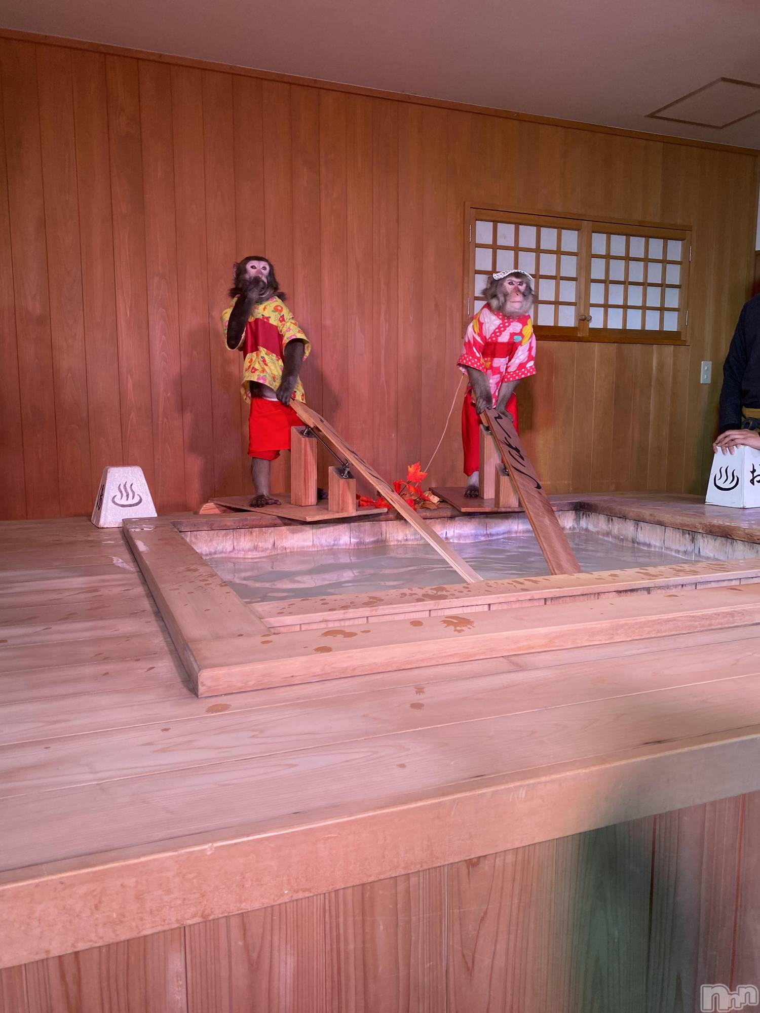 ȯѥ˥󥯥ֿ㥳ѥ˥󥯥ֲ(˥ѥ˥󥯥֥ϥʥ) 2025ǯ1110̥֥֤ꤳ