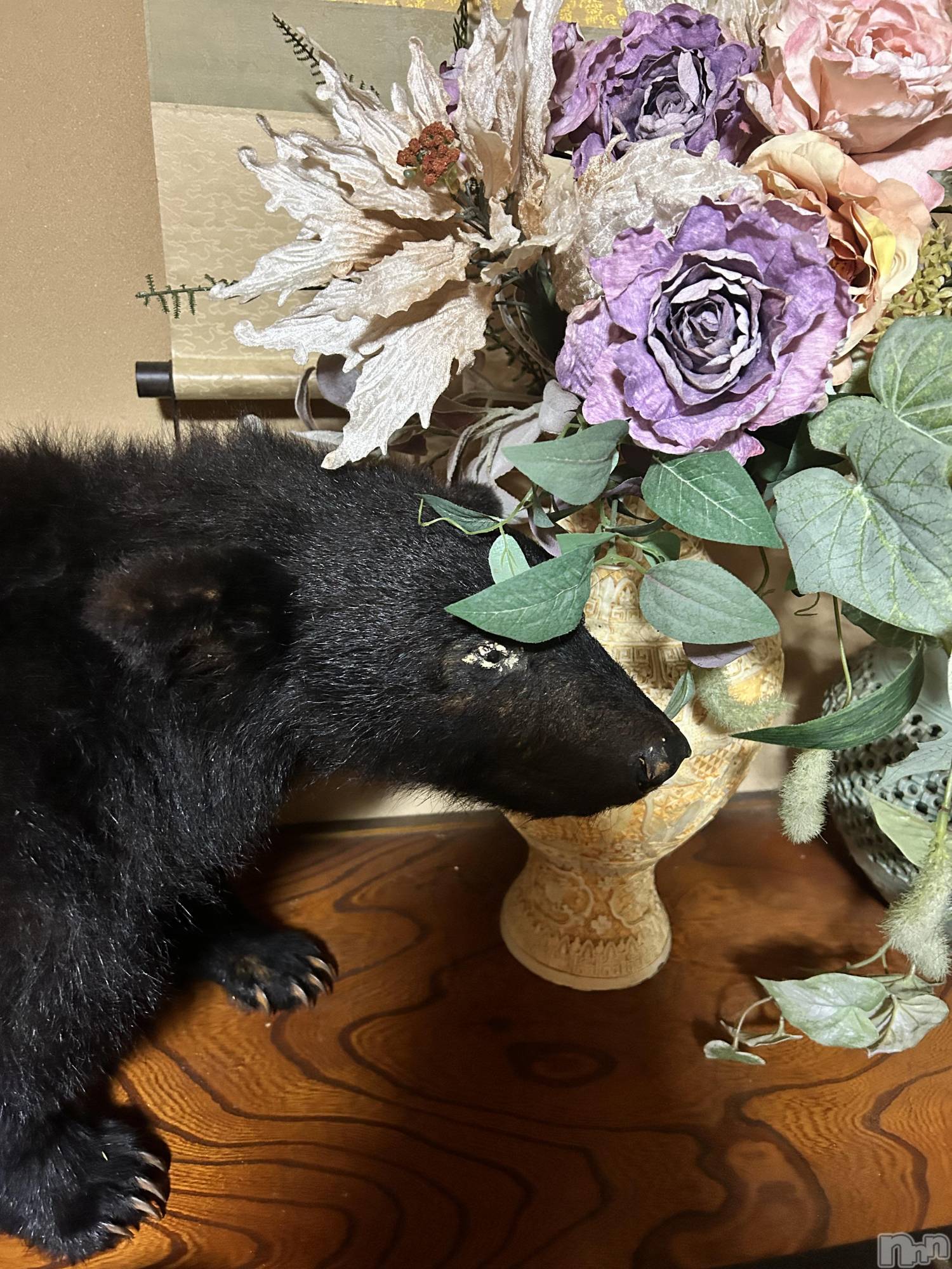 ȯѥ˥󥯥ֿ㥳ѥ˥󥯥ֲ(˥ѥ˥󥯥֥ϥʥ) 2025ǯ1124̥֥֥ޥϤʤ