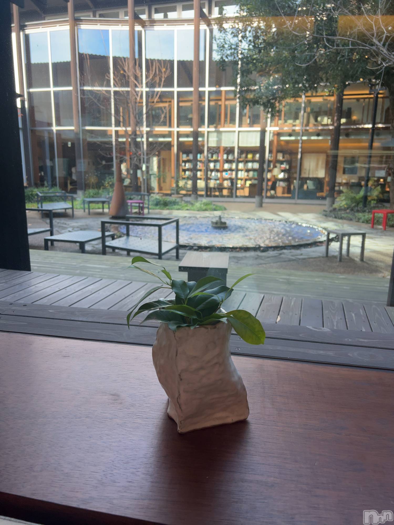 ����ȯ����ѥ˥��󥯥�ֿ��㥳��ѥ˥��󥯥�ֲ���(�˥���������ѥ˥��󥯥�֥ϥʥ�) ��2025ǯ12��23���̥�֥����֥����