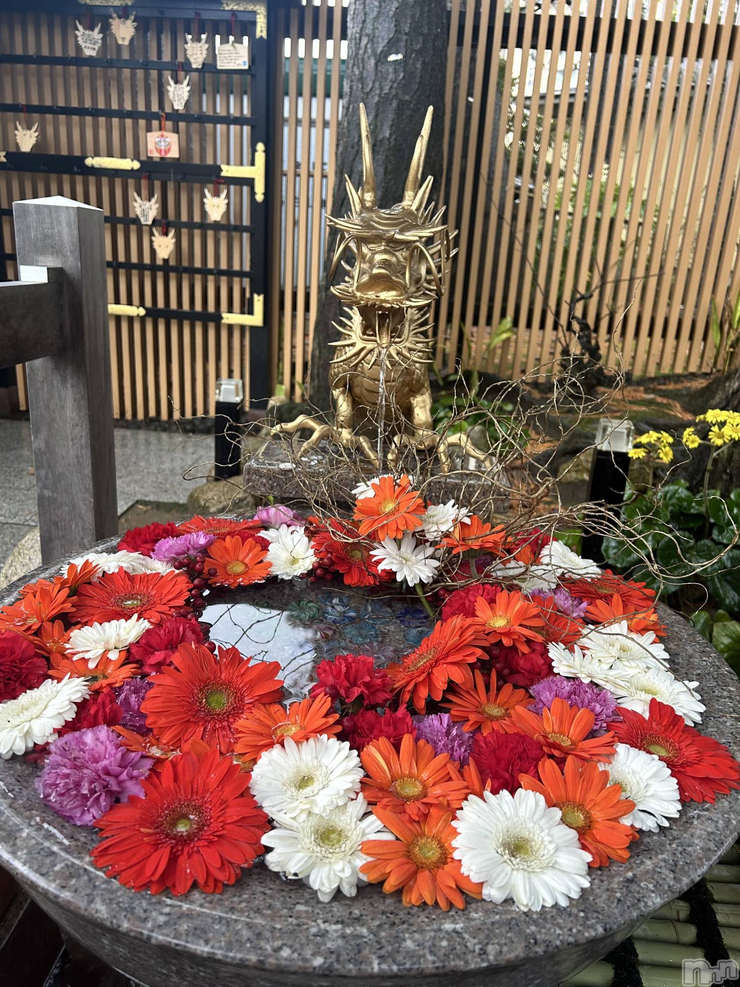 ����ȯ����ѥ˥��󥯥�ֿ��㥳��ѥ˥��󥯥�ֲ���(�˥���������ѥ˥��󥯥�֥ϥʥ�) ��2026ǯ1��5���̥�֥�����������