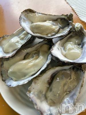 ȯѥ˥󥯥ֿ㥳ѥ˥󥯥ֲ(˥ѥ˥󥯥֥ϥʥ) ߤ1015̥֥֤褯Ф