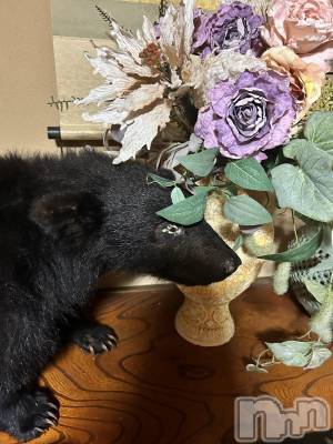 ȯѥ˥󥯥ֿ㥳ѥ˥󥯥ֲ(˥ѥ˥󥯥֥ϥʥ) ߤ1124̥֥֥ޥϤʤ