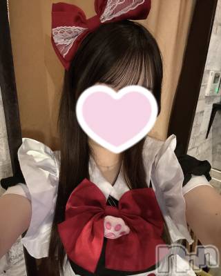 ����������ʥå��������륺�С� Girls Bar Bacchus�������Ź(�Хå��������ޥ��ƥ�) �椫�β���(1����)