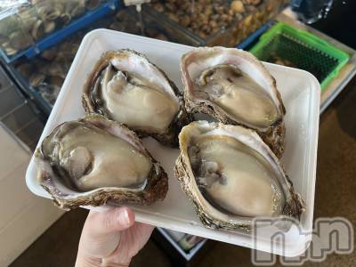 Įʥå륺Сlounge you(饦󥸥楦) Ϥ롡ޥ(27)925̥֥֤ʤ