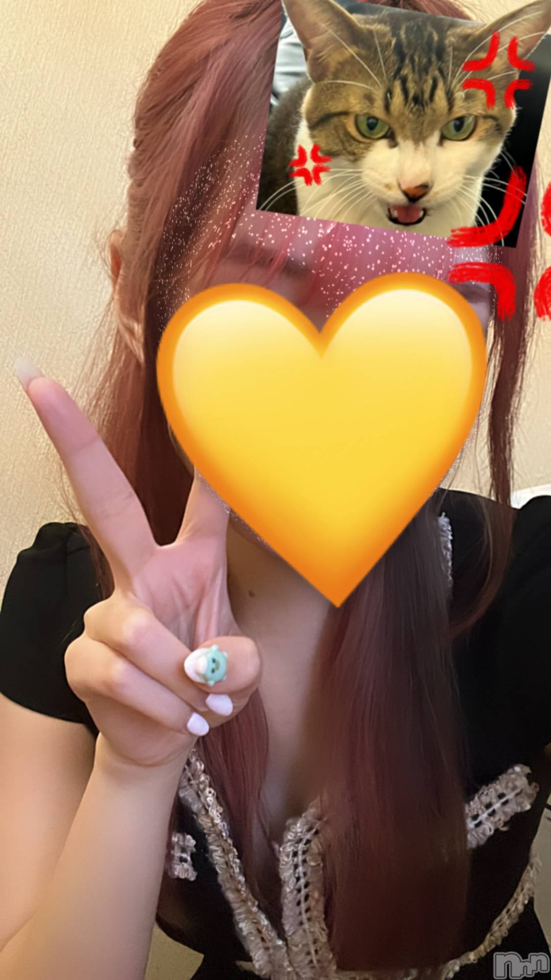 襳ѥ˥󥯥֥ѥ˥󥯥  IKI (ѥ˥󥯥֥) 2024ǯ1112̥֥( ˶ᵕ˶ )☀️