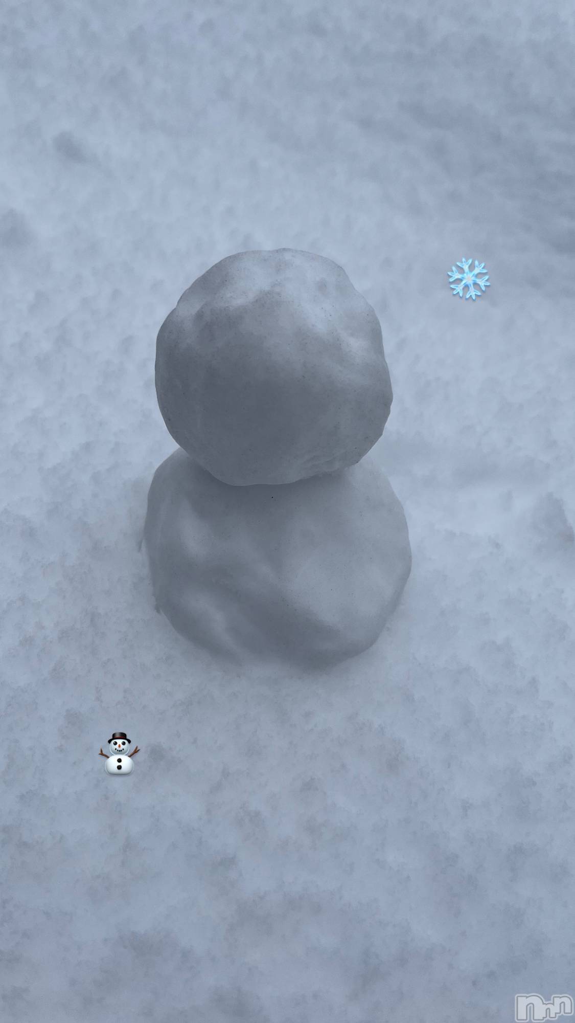 襳ѥ˥󥯥֥ѥ˥󥯥  IKI (ѥ˥󥯥֥) 2025ǯ28̥֥⛄️