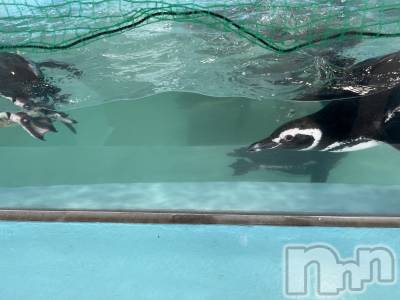 襳ѥ˥󥯥֥ѥ˥󥯥  IKI (ѥ˥󥯥֥) Τ1023̥֥🐧🫧