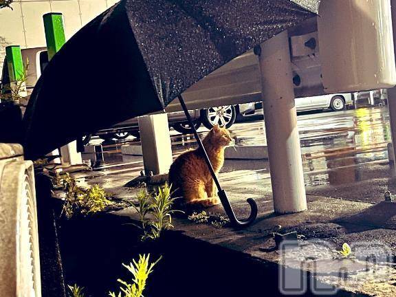 新潟人妻デリヘル熟女の風俗 最終章(ジュクジョノフウゾクサイシュウショウ)たお(40)の2025年1月12日写メブログ「出勤の話」