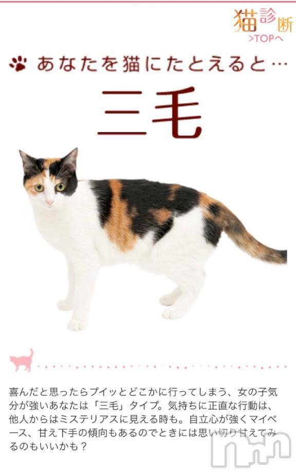 新潟人妻デリヘル熟女の風俗 最終章(ジュクジョノフウゾクサイシュウショウ)たお(40)の2025年6月26日写メブログ「😎」