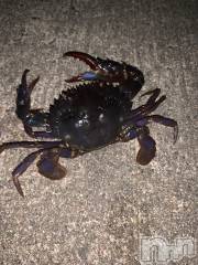 新潟人妻デリヘル熟女の風俗 最終章(ジュクジョノフウゾクサイシュウショウ) たお(40)の11月22日写メブログ「11月後半」