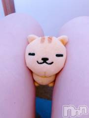 新潟デリヘル熟女の風俗 最終章(ジュクジョノフウゾクサイシュウショウ) たお(40)の8月13日写メブログ「🐈‍⬛」