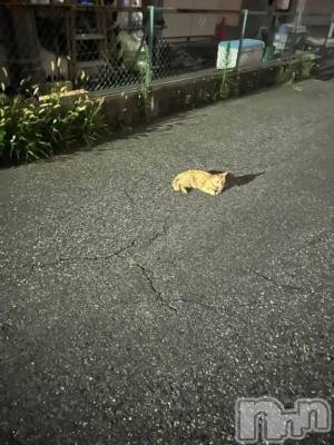 新潟人妻デリヘル 熟女の風俗 最終章(ジュクジョノフウゾクサイシュウショウ) たお(40)の5月31日写メブログ「🎑」