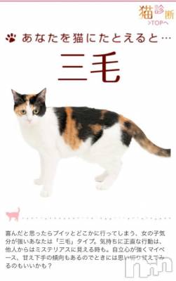 新潟人妻デリヘル 熟女の風俗 最終章(ジュクジョノフウゾクサイシュウショウ) たお(40)の6月26日写メブログ「😎」