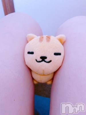 新潟人妻デリヘル 熟女の風俗 最終章(ジュクジョノフウゾクサイシュウショウ) たお(40)の8月13日写メブログ「🐈‍⬛」