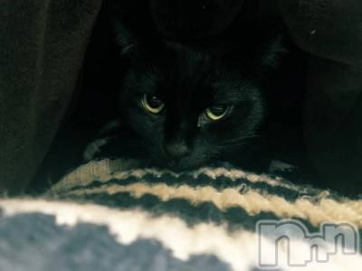 新潟デリヘル 熟女の風俗 最終章(ジュクジョノフウゾクサイシュウショウ) たお(40)の11月17日写メブログ「もう無理。。。」