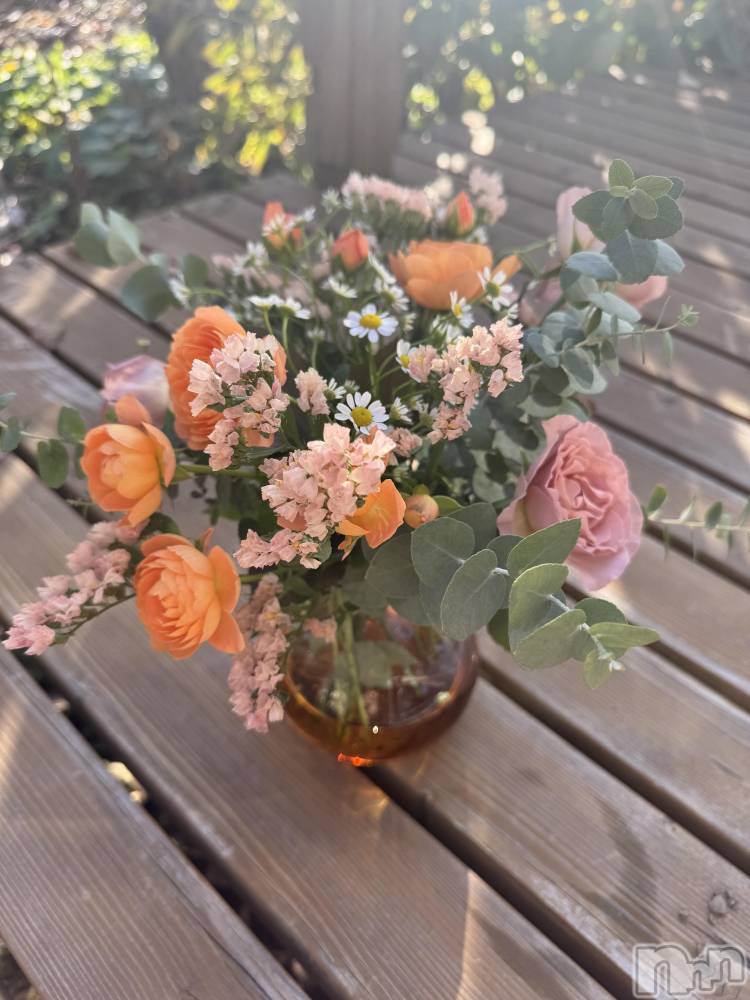 ƲХ顦JARDIN CLUB(󥯥) ߤ1116̥֥🦋🩵