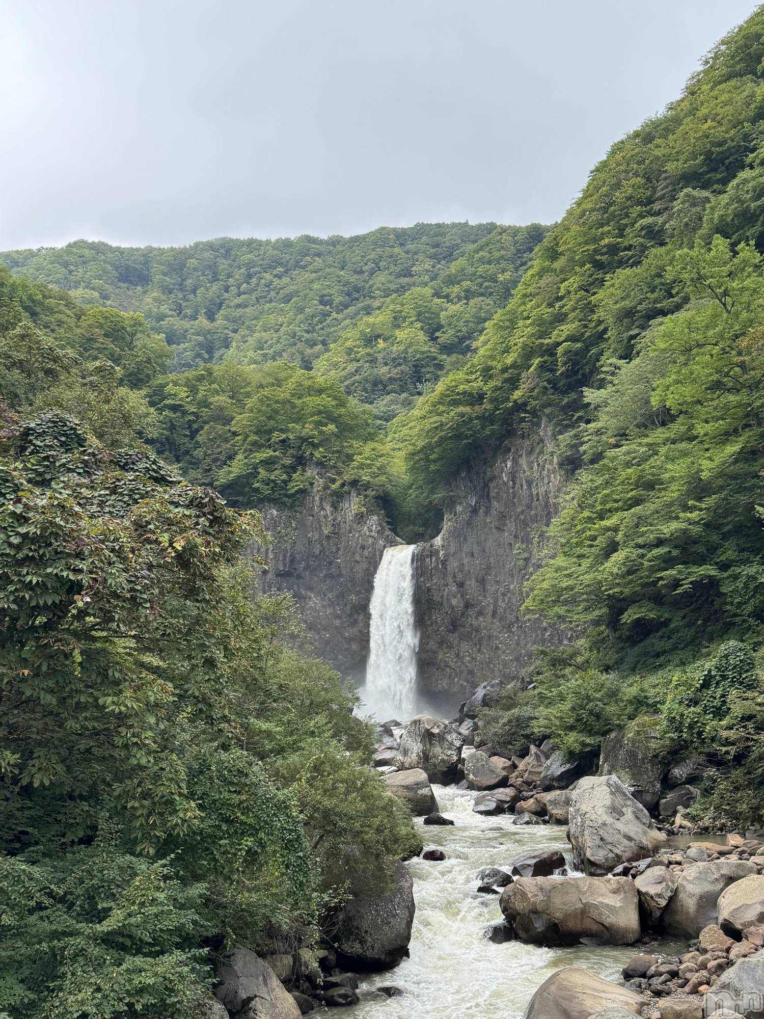 ƲХ顦JARDIN CLUB(󥯥) 2025ǯ1027̥֥🦋🤍