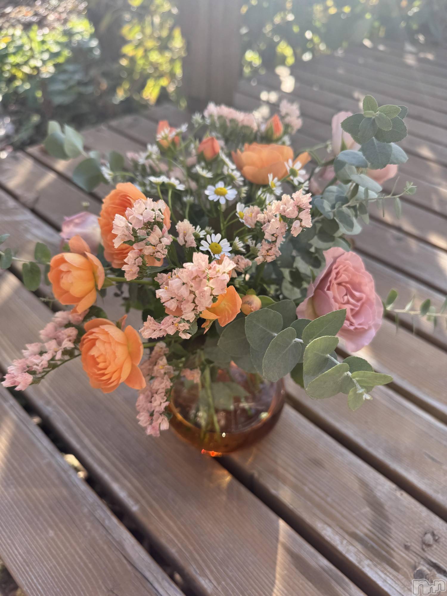 ƲХ顦JARDIN CLUB(󥯥) 2025ǯ1116̥֥🦋🩵