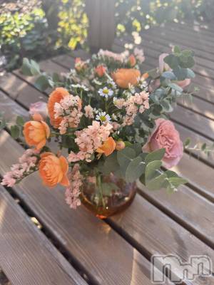 ��Ʋ����Х��顦�����JARDIN CLUB(�������󥯥��) �ߤ���11��16���̥�֥�����🦋🩵��