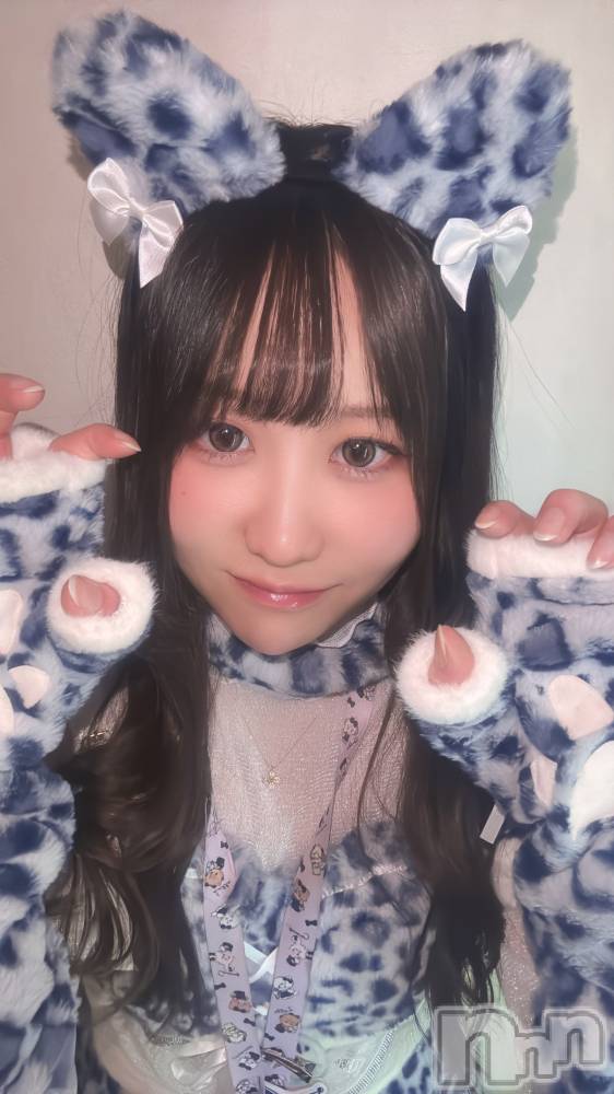 ��Į���ʥå��������륺�С�concept bar Citron(���󥻥ץȥС����ȥ���) �ꤵ��1��10���̥�֥����֤���ϥҥ祦�������