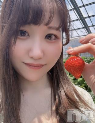 Įʥå륺Сconcept bar Citron(󥻥ץȥСȥ) ꤵ67̥֥🍓