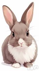 新潟デリヘルCherish Amulet(チェリッシュ アミュレット) はむ★(21)の10月22日写メブログ「受付終了です」