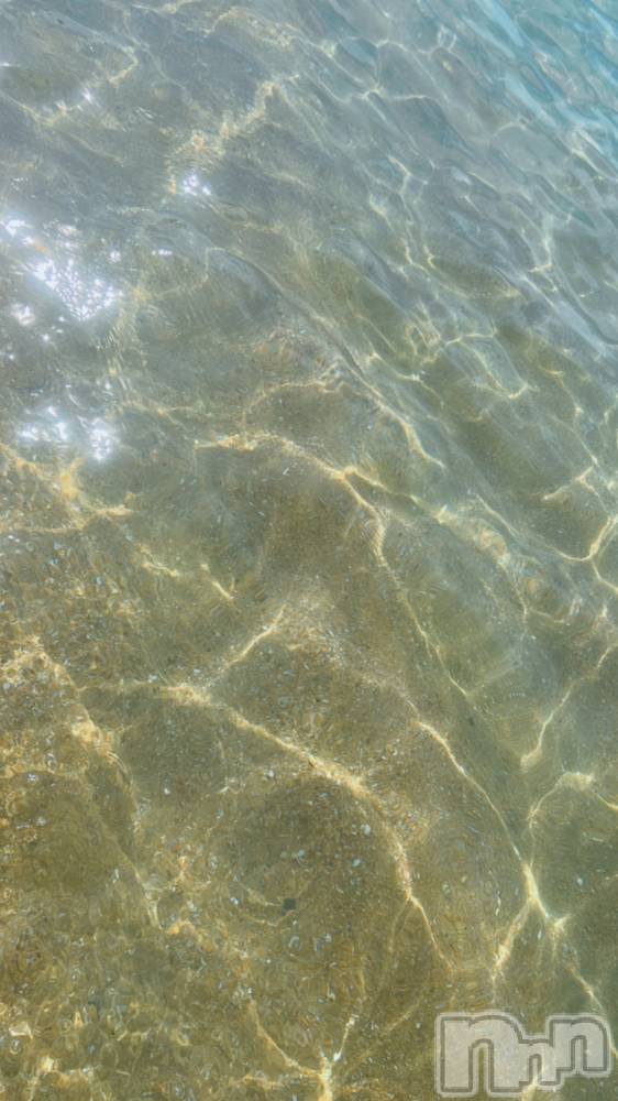 ��ë����Х��顦�����CLUB��Paladin(����֡��ѥ�ǥ���) ����� ���ꤵ��8��20���̥�֥�����🦕🧡��