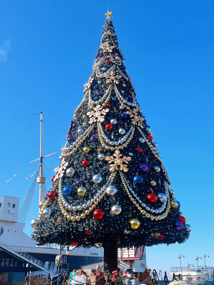 ��ë����Х��顦�����CLUB��Paladin(����֡��ѥ�ǥ���) ����� ���ꤵ��11��20���̥�֥�����🎄.*��