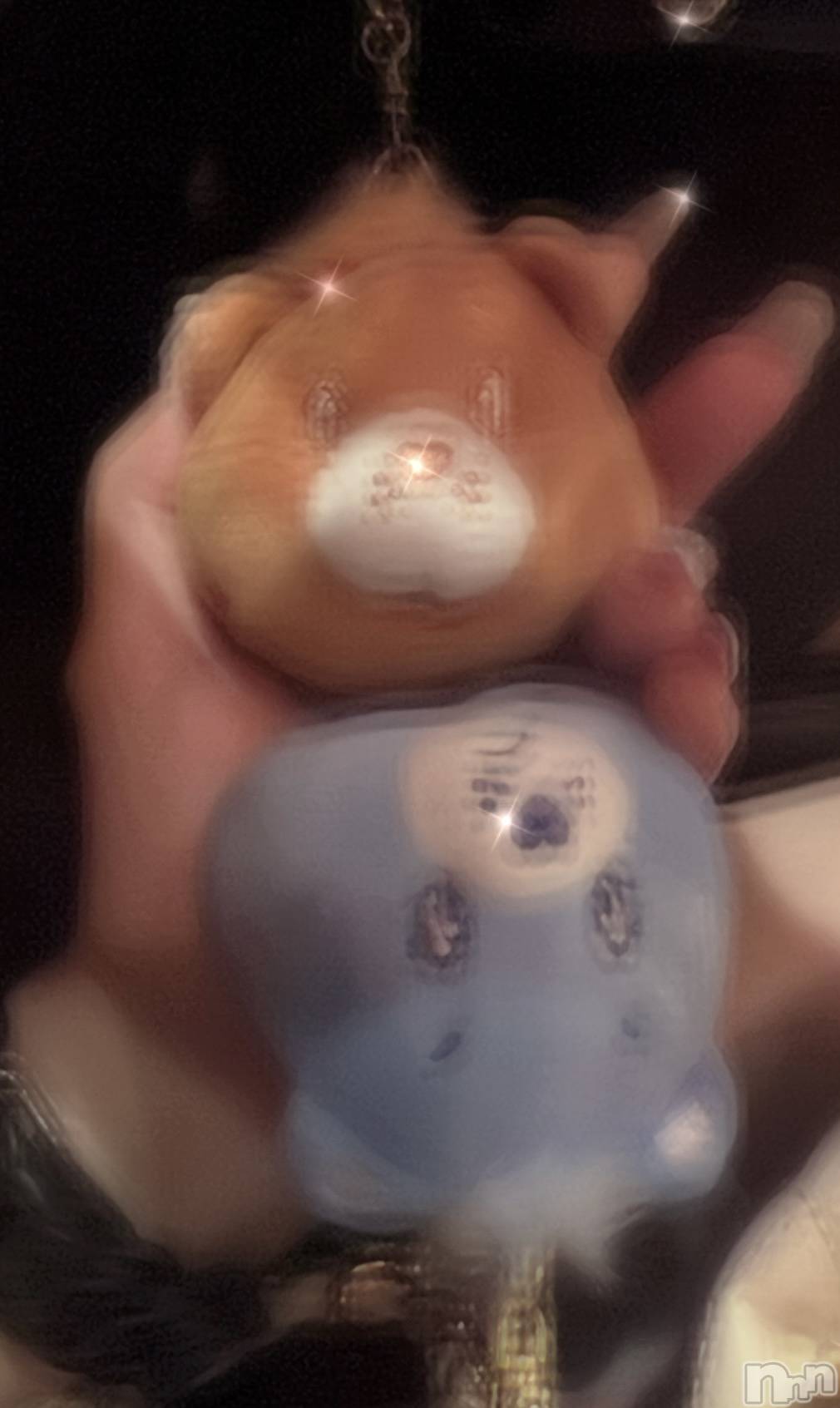 ��ë����Х��顦�����CLUB��Paladin(����֡��ѥ�ǥ���) ��2024ǯ8��17���̥�֥�����🦕🧡��