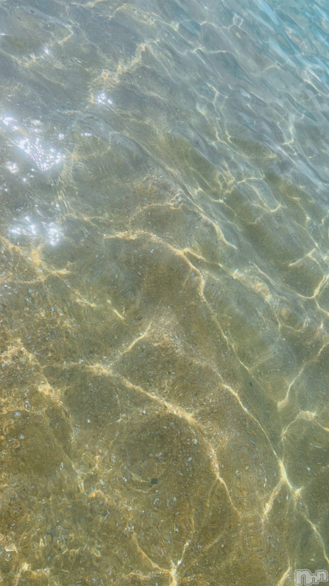 ��ë����Х��顦�����CLUB��Paladin(����֡��ѥ�ǥ���) ��2024ǯ8��20���̥�֥�����🦕🧡��