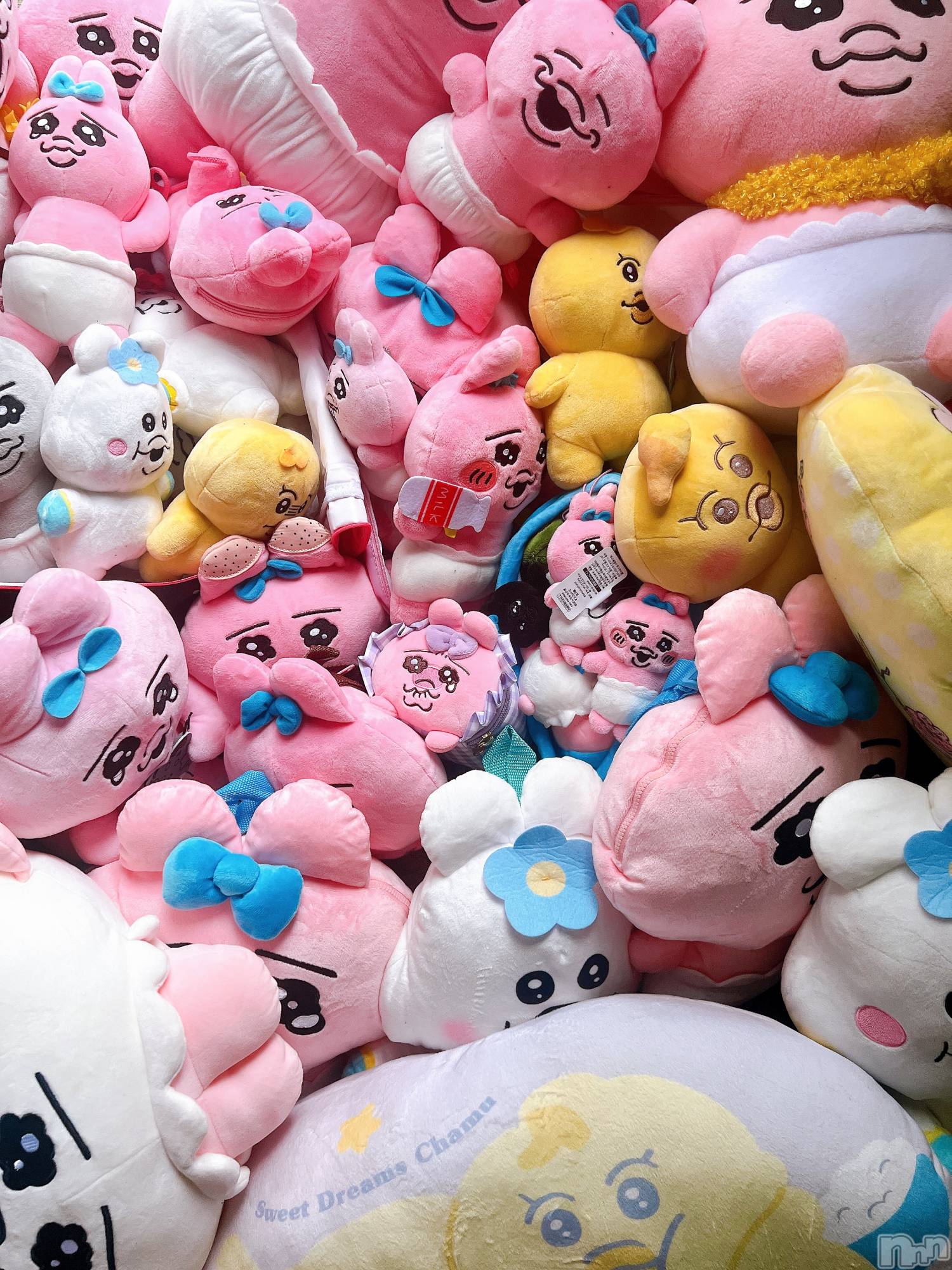 ��ë����Х��顦�����CLUB��Paladin(����֡��ѥ�ǥ���) ��2025ǯ6��24���̥�֥�����🫩🫩��