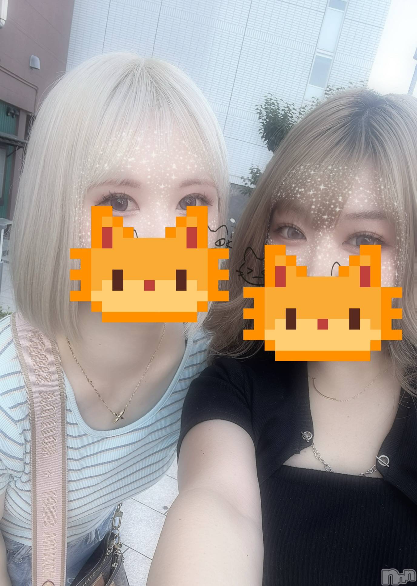 ��ë����Х��顦�����CLUB��Paladin(����֡��ѥ�ǥ���) ��2025ǯ9��6���̥�֥�����🐱🐱��